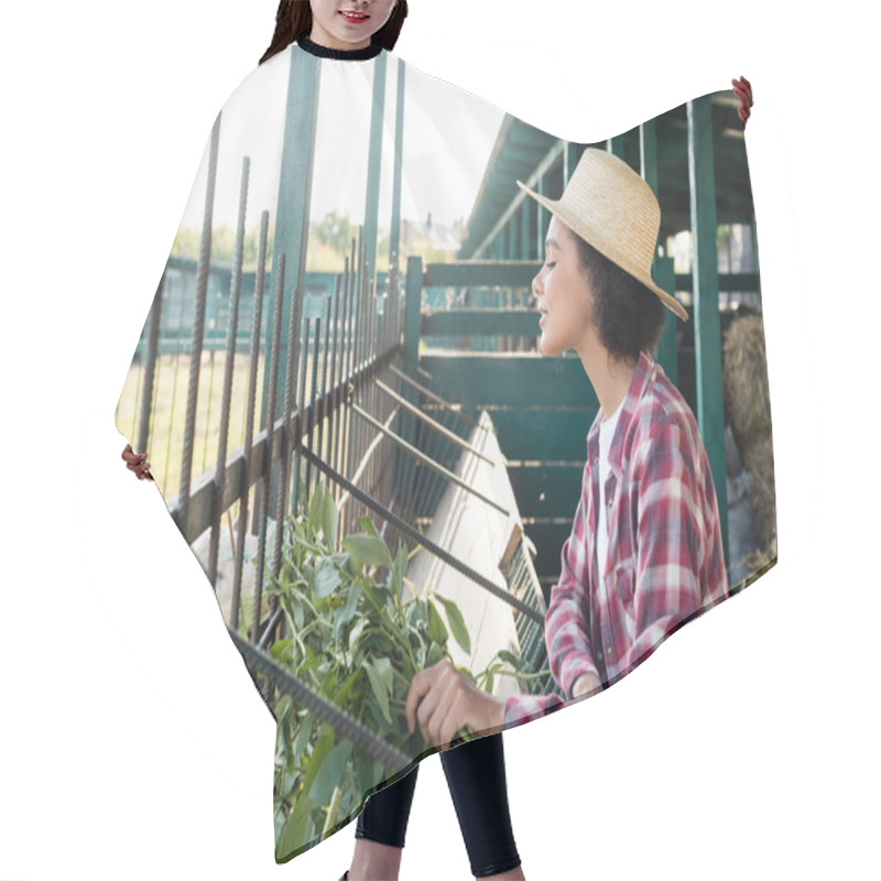 Personality  Side View Of African American Woman In Straw Hat Feeding Sheep Near Manger Hair Cutting Cape