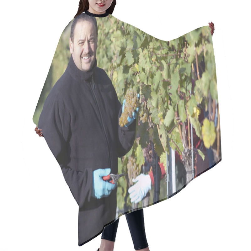 Personality  Vintner In The Vineyard Hair Cutting Cape