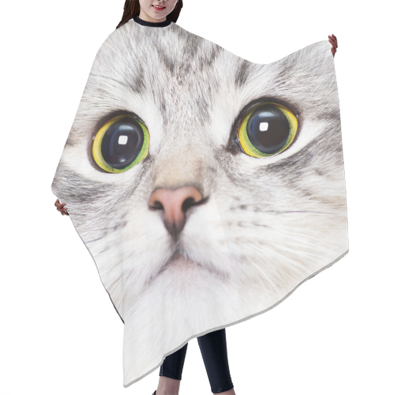 Personality  Kitty Hair Cutting Cape