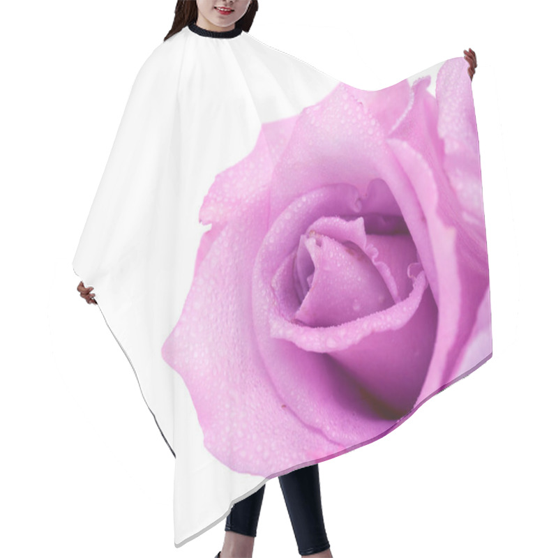 Personality  Blue Rose Isolated On White Background Hair Cutting Cape