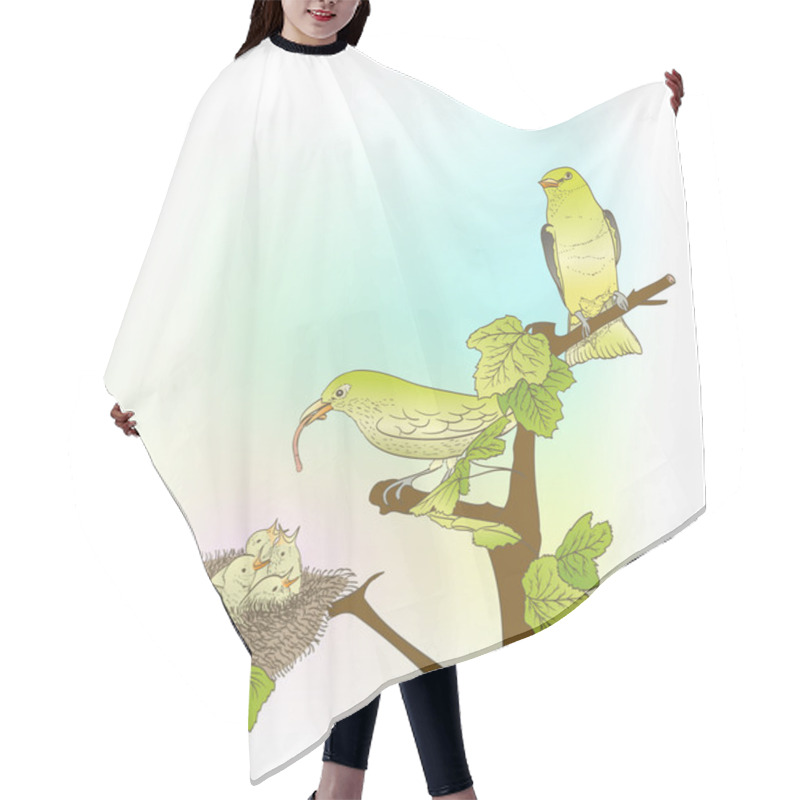 Personality  Hand Drawn Little Green Birds Feeding Their Young In The Nest  Hair Cutting Cape