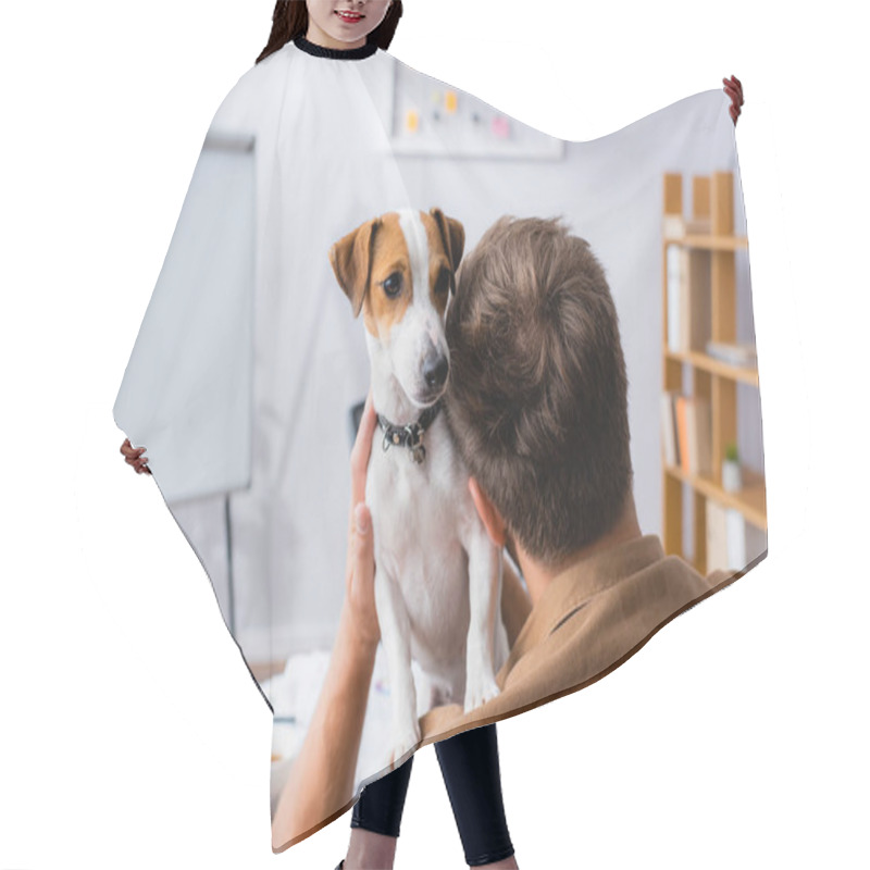 Personality  Back View Of Businessman Holding White Jack Russell Terrier Dog With Brown Spots On Head In Office Hair Cutting Cape