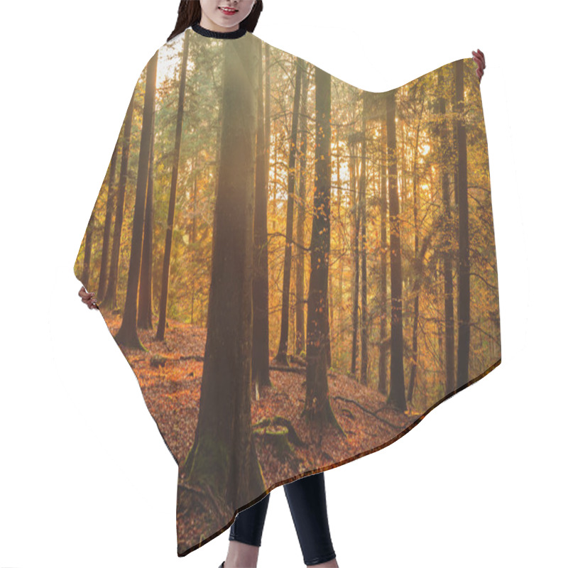 Personality  Black Forest Hair Cutting Cape