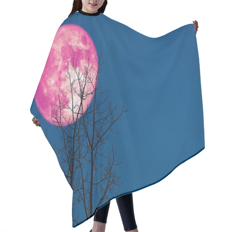 Personality  Super Corn Planting Moon Back Silhouette Dry Branch Tree Hair Cutting Cape