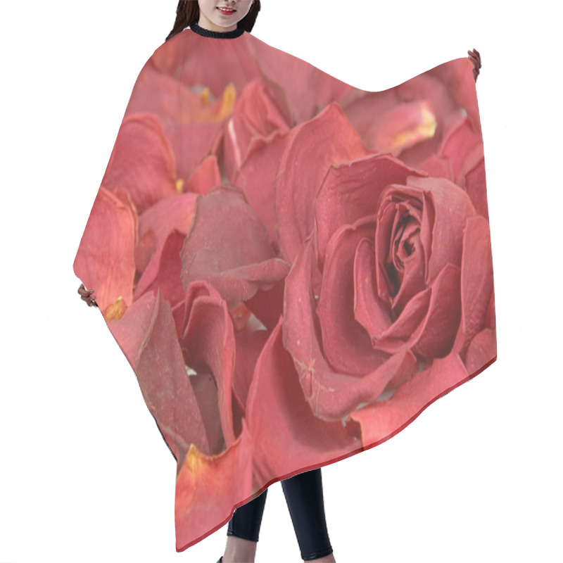 Personality  Red Rose Petals Hair Cutting Cape