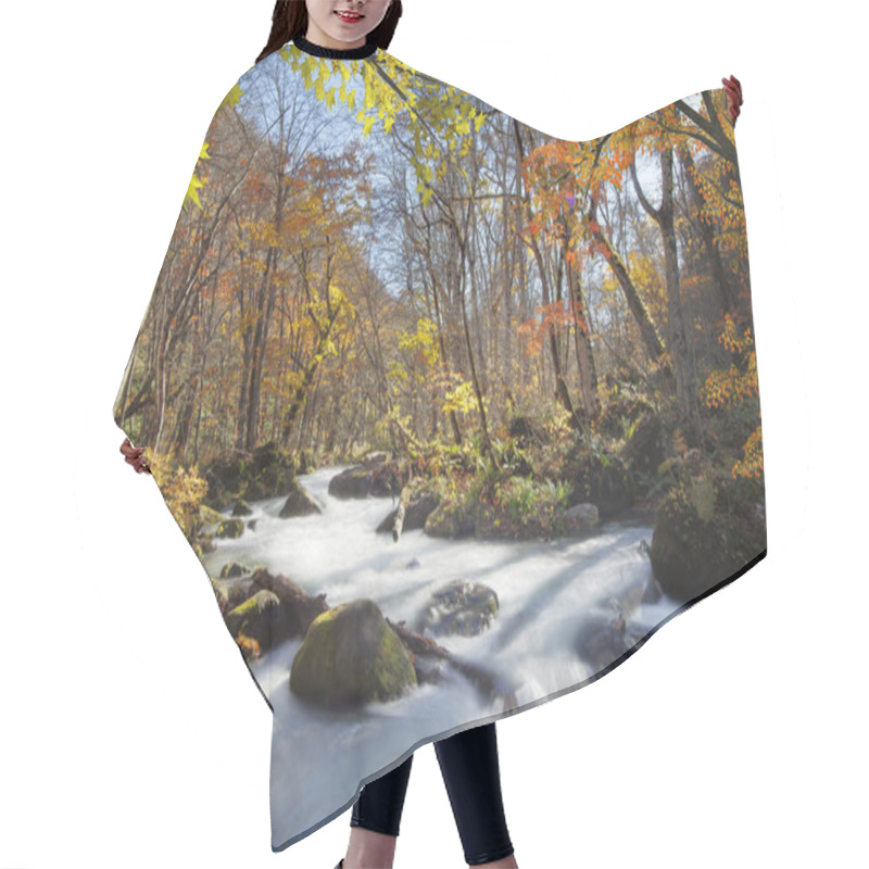 Personality  Oirase Gorge Beautiful River Druing The Autumn Season, Japan Hair Cutting Cape