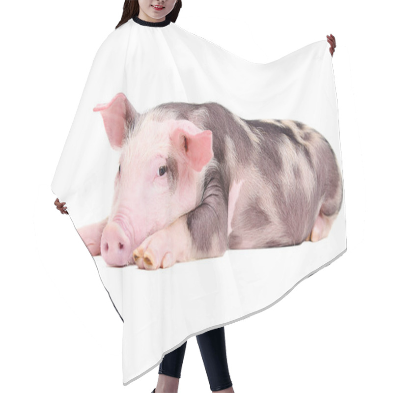 Personality  Cute Little Piglet Hair Cutting Cape