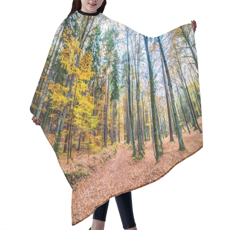 Personality  An Autmn Forest Hair Cutting Cape