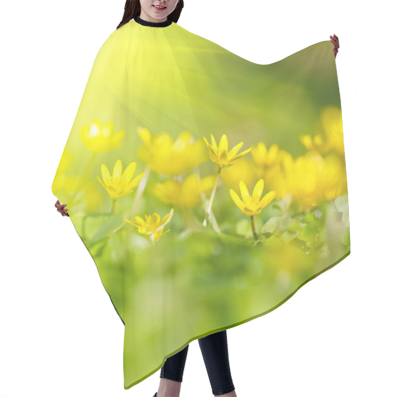 Personality  Soft-focus Close-up Of Yellow Flowers Hair Cutting Cape