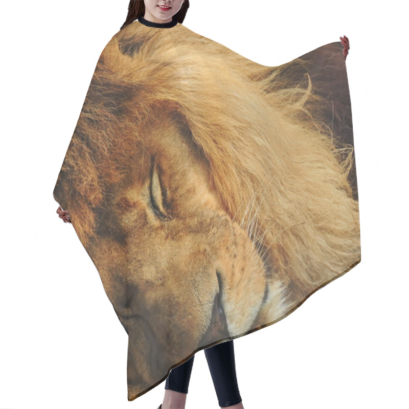 Personality  Sleeping Lion Hair Cutting Cape