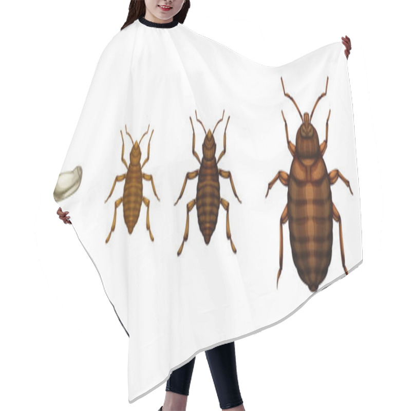 Personality  Bed Bug Life Cycle - Cimex Lectularius Hair Cutting Cape