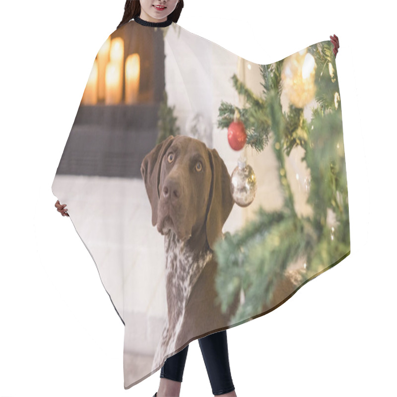 Personality  Dog Looking Up Under The Christmas Tree Hair Cutting Cape