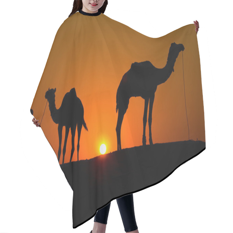 Personality  Silhouette Of A Man And Two Camels At Sunset In The Desert Hair Cutting Cape