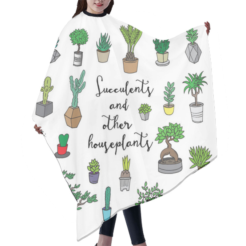 Personality  Succulents And Other Houseplants. Hair Cutting Cape