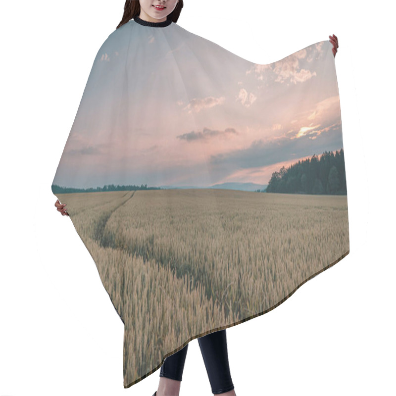 Personality  Golden Wheat Field Under A Vibrant Sunset Sky. Hair Cutting Cape