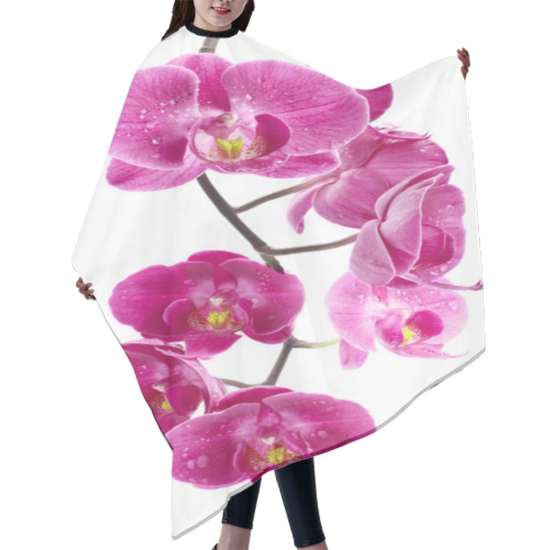 Personality  Orchid Flowers Hair Cutting Cape