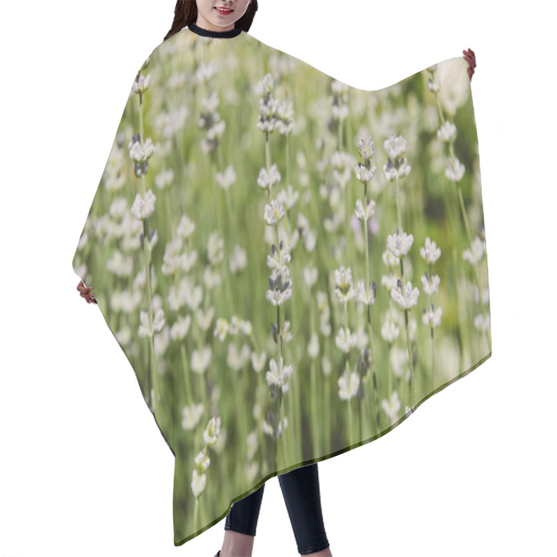 Personality  Selective Focus Of Flowers On Blurred Background  Hair Cutting Cape