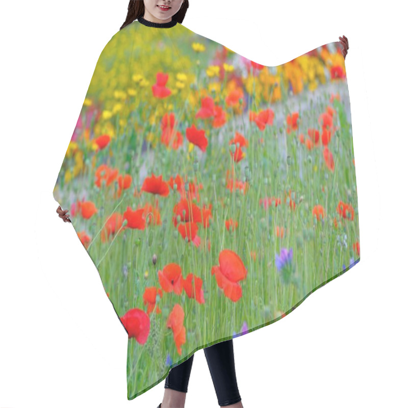 Personality  Beautiful Poppy Flowers Blooming On Green Field Hair Cutting Cape