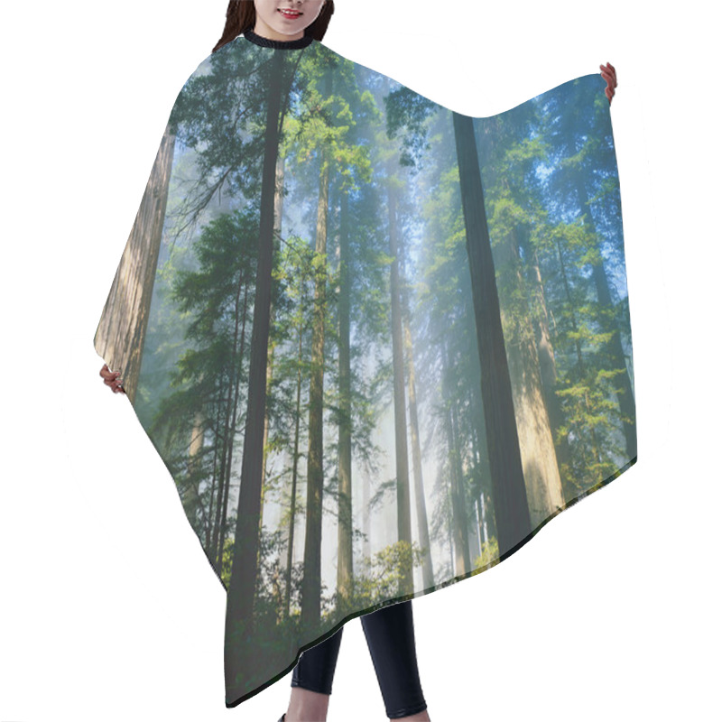 Personality  Nature Landscape View Hair Cutting Cape