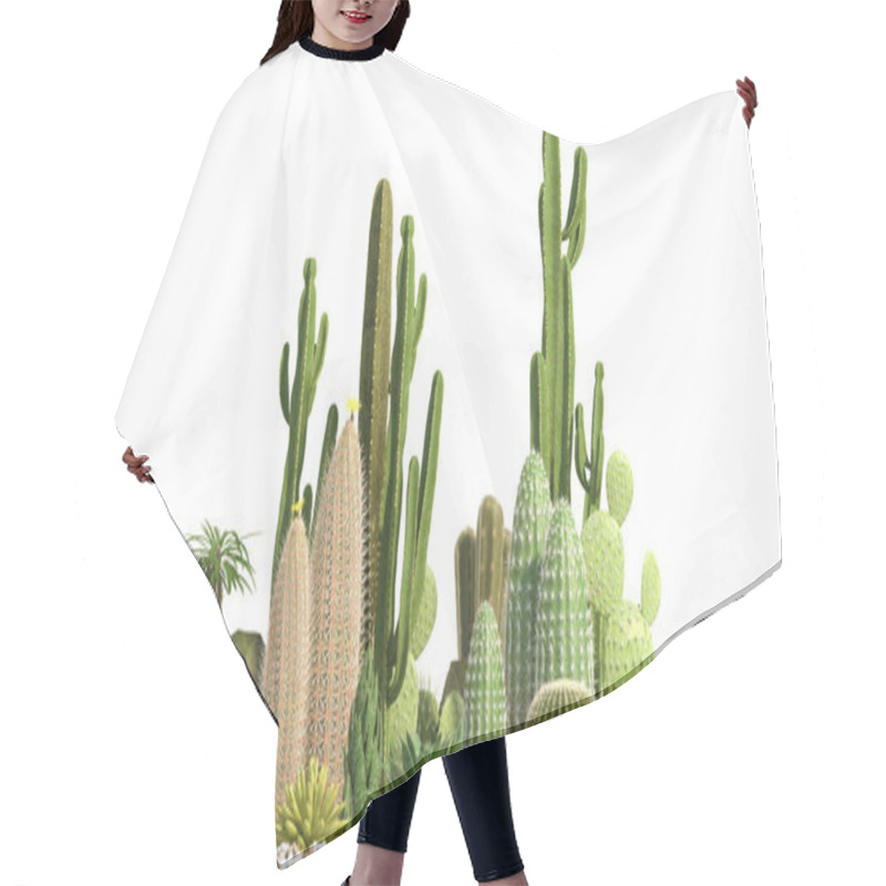 Personality  Decorative Composition Composed Of Groups Of Different Species Of Cacti, Aloe And Succulent Plants Isolated On White Background. Front View. 3D Rendering. Hair Cutting Cape