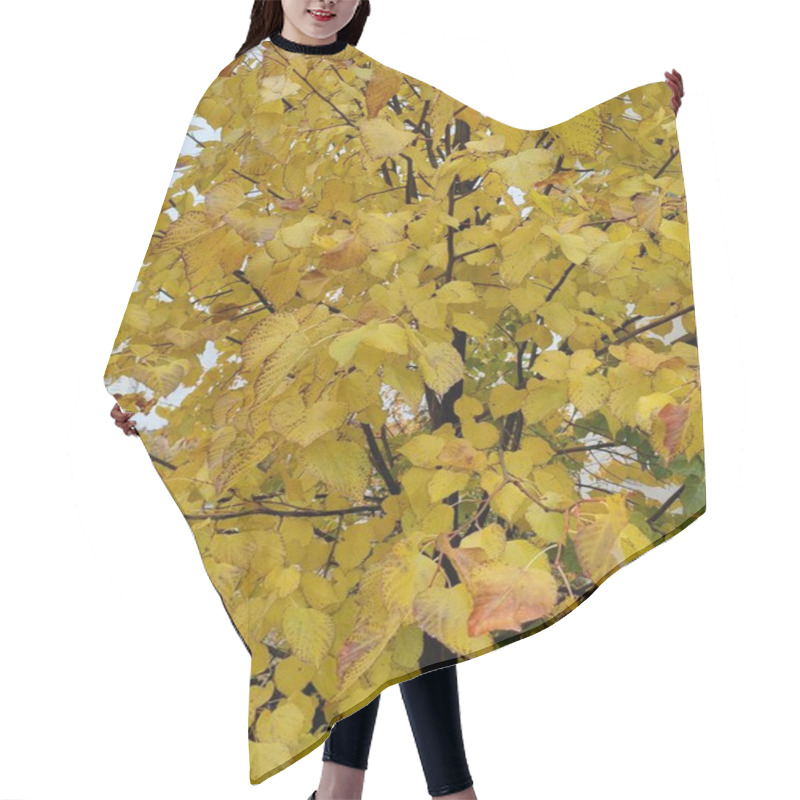 Personality  Golden Autumn Leaves With Dark Speckles, Representing The Passage Of Time And Nature's Imperfections, As A Metaphor For Beauty In Flaws And Seasonal Transformation Amidst The Warm Glow Of Fall Hair Cutting Cape