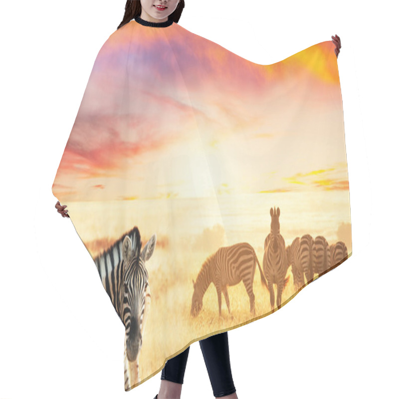 Personality  Zebra Hair Cutting Cape