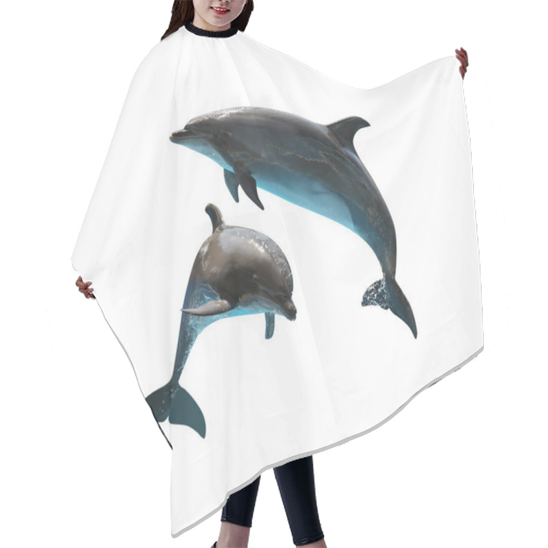 Personality  Beautiful Grey Bottlenose Dolphins On White Background Hair Cutting Cape