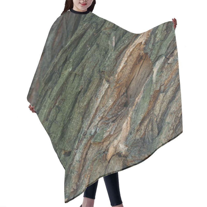 Personality  Cracked Rough Tree Bark Background Hair Cutting Cape