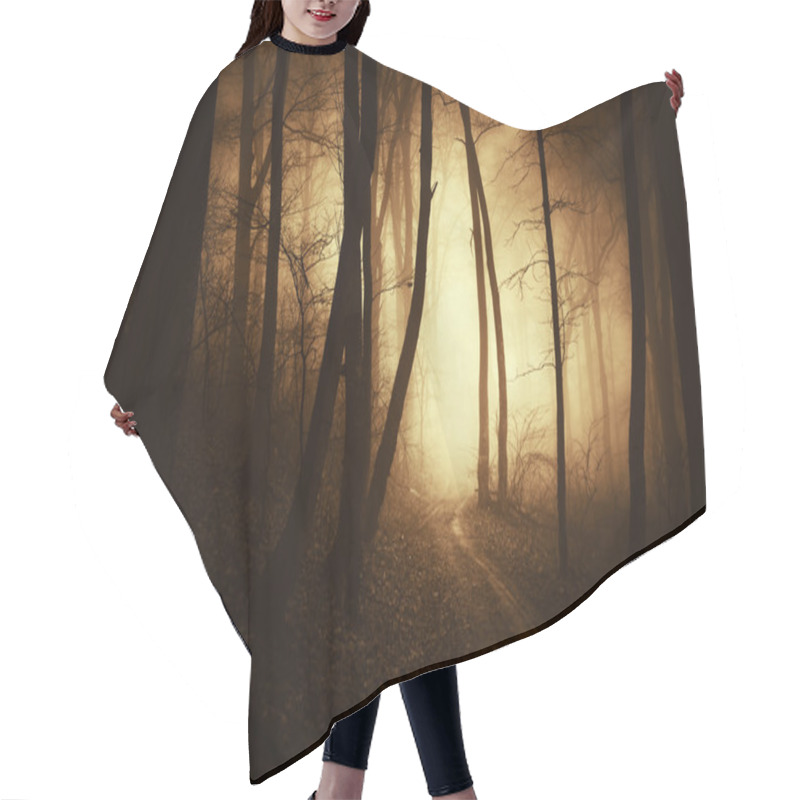 Personality  Golden Light In Dark Forest Hair Cutting Cape