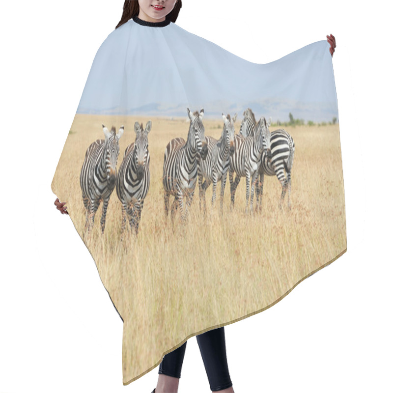 Personality  Zebra Hair Cutting Cape