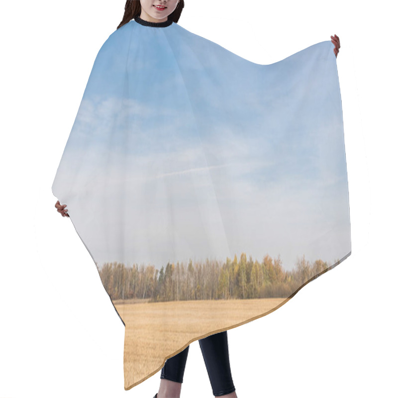 Personality  Golden Meadow Near Green Trees Against Blue Sky With Clouds  Hair Cutting Cape