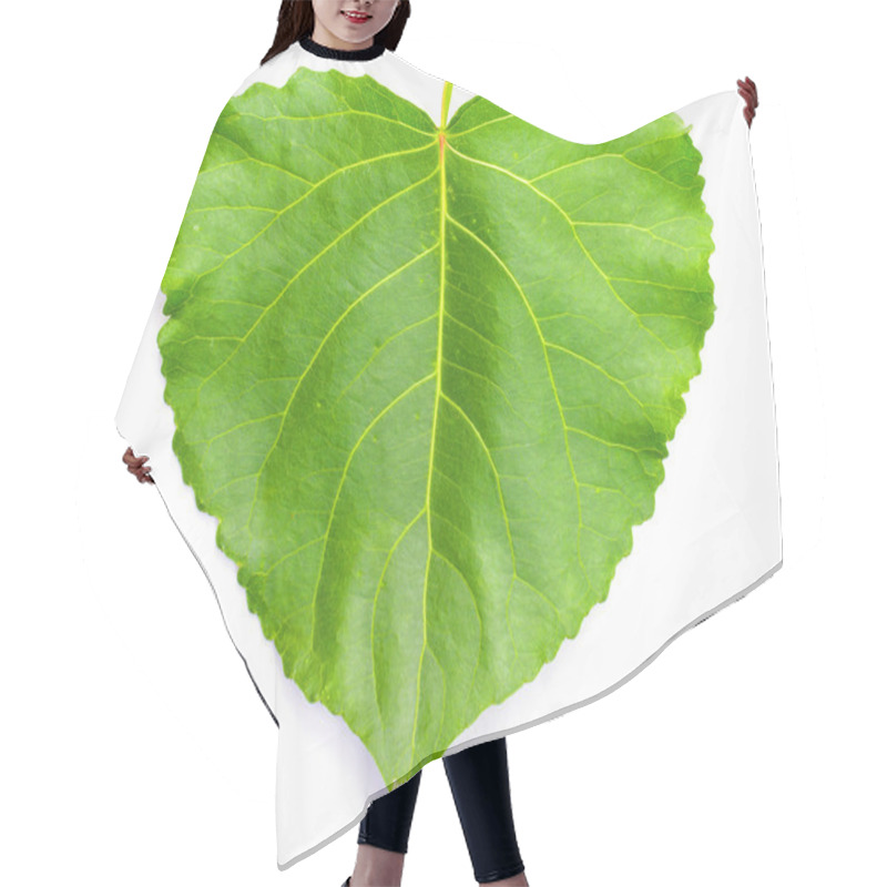 Personality  Green Heart Shaped Leaf Hair Cutting Cape