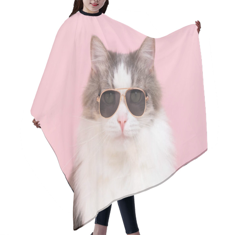 Personality  Cute Funny Cat Sitting In Sunglasses On A Pink Background. Animals Dressed As People Hair Cutting Cape