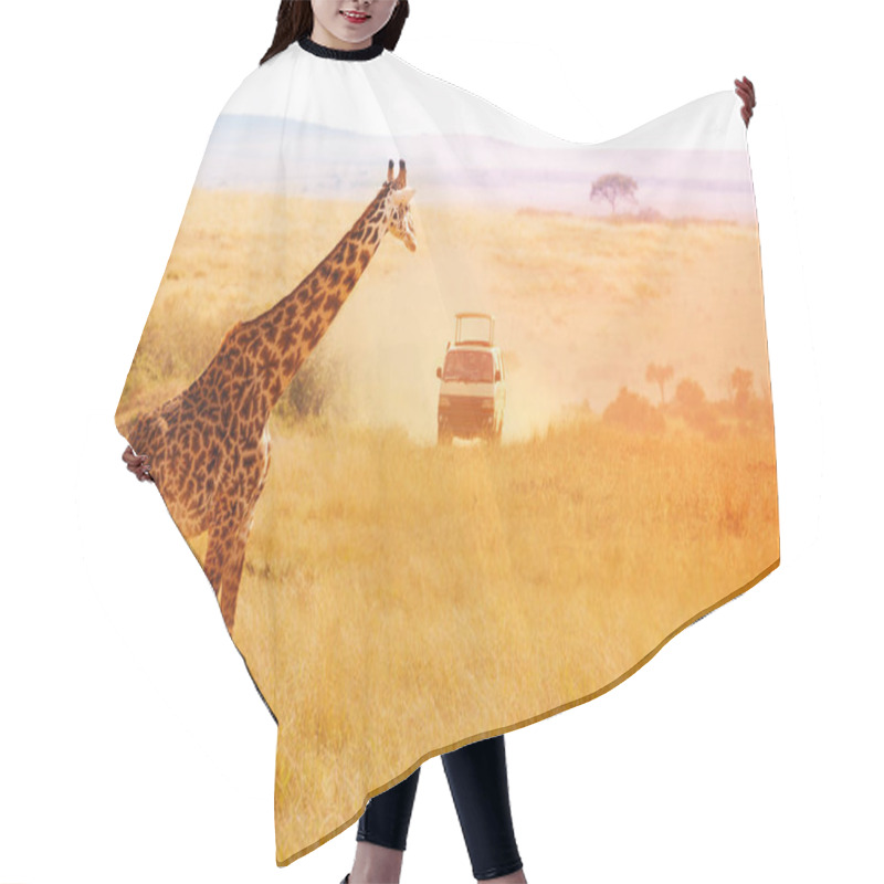 Personality  Giraffe Looking At Safari Jeep At Sunset Hair Cutting Cape