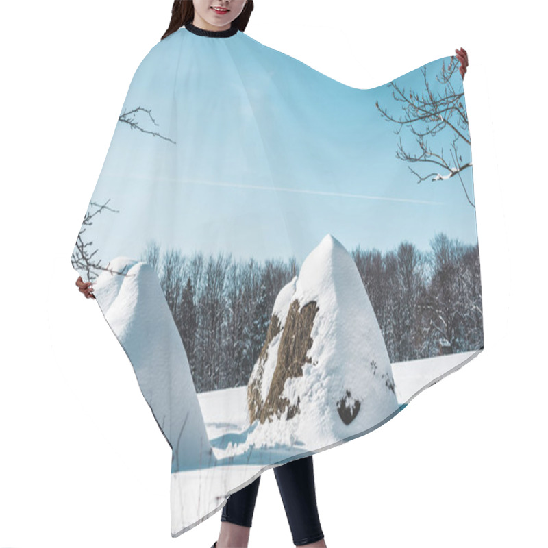 Personality  Haystacks Covered With Snow In Carpathian Mountains At Daytime Hair Cutting Cape