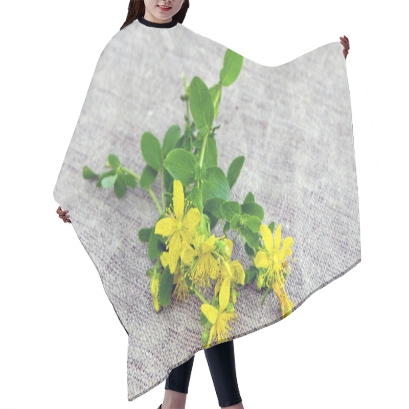 Personality  St Johns Wort Blossoms On Linen Cloth Hair Cutting Cape