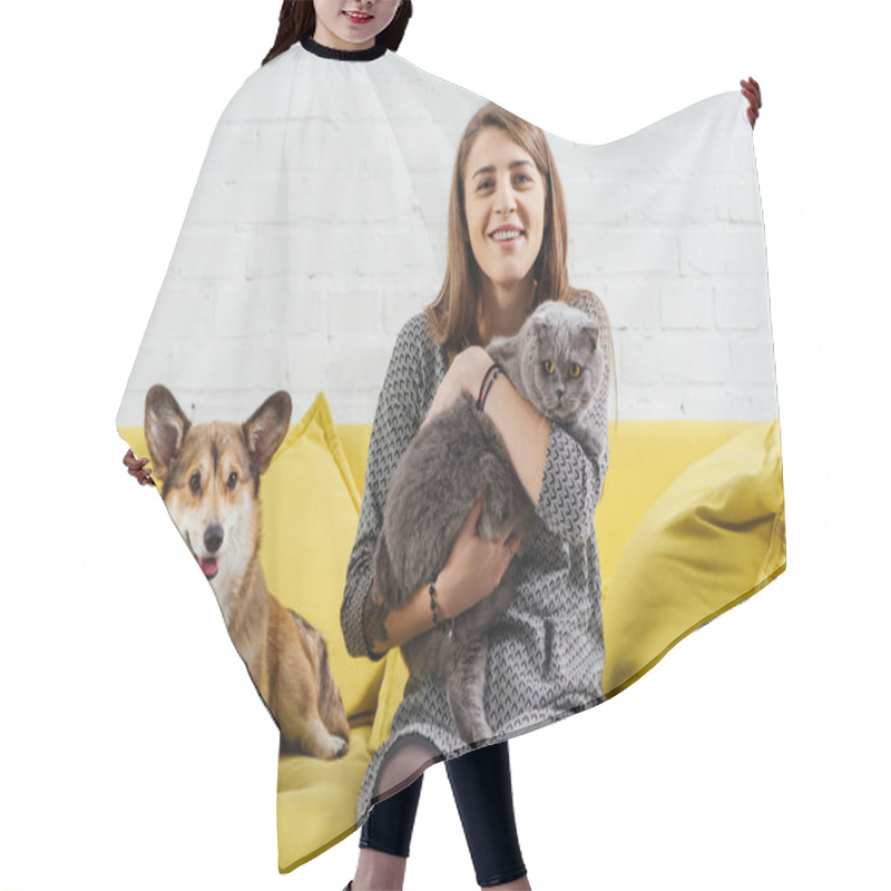 Personality  Attractive Woman Sitting On Sofa With Funny Pembroke Welsh Corgi And Cute Scottish Fold Cat Hair Cutting Cape