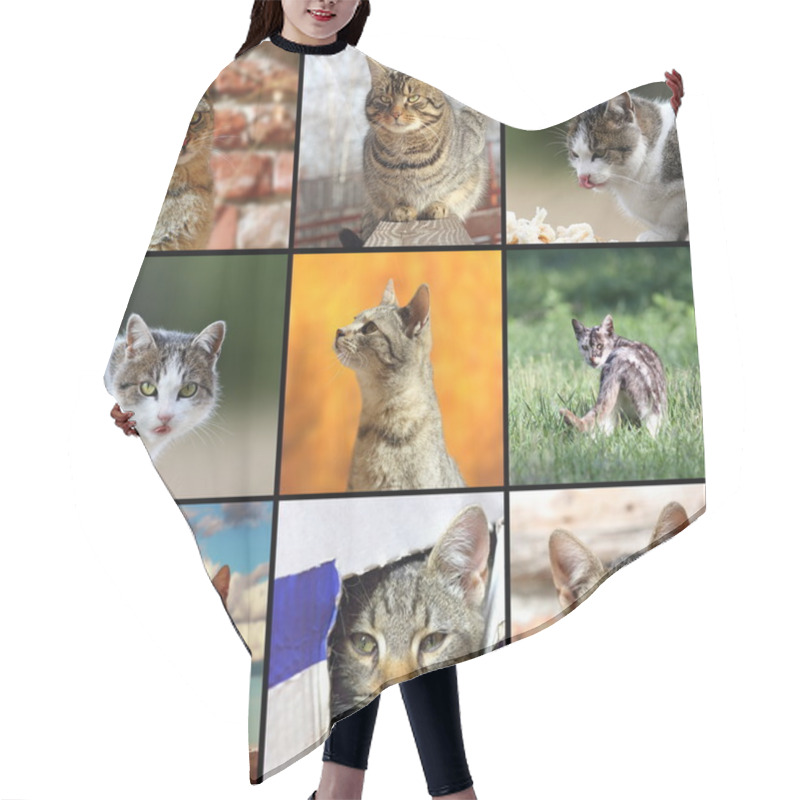 Personality  Funny Cats Images Hair Cutting Cape