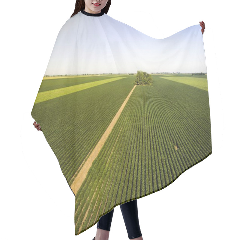 Personality  Aerial Shot Of Agricultural Soy Fields Hair Cutting Cape