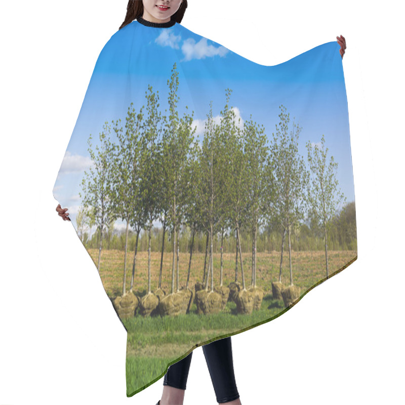 Personality  Planting Trees Hair Cutting Cape