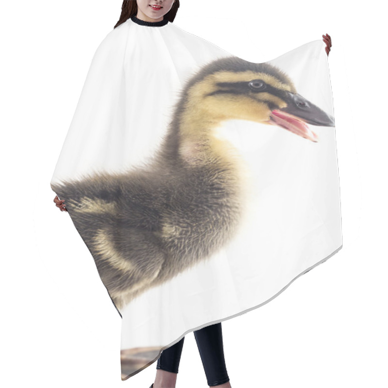 Personality  American Pekin Duckling Hair Cutting Cape