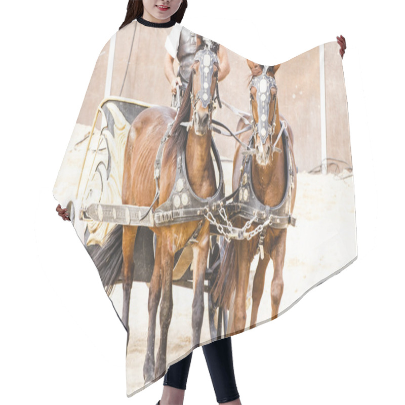 Personality  Roman Chariot On Gladiators Fight Hair Cutting Cape