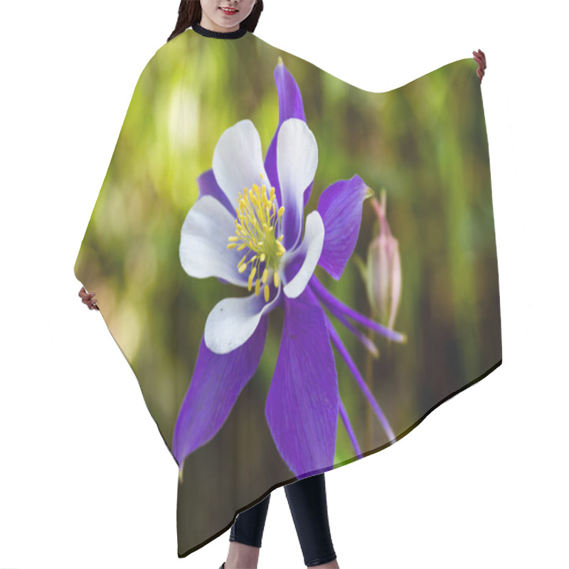 Personality  Blooming Blue Columbine Flowers Hair Cutting Cape