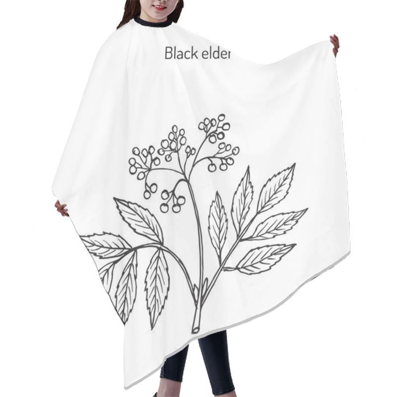 Personality  Black Elder, Medicinal Plant Hair Cutting Cape