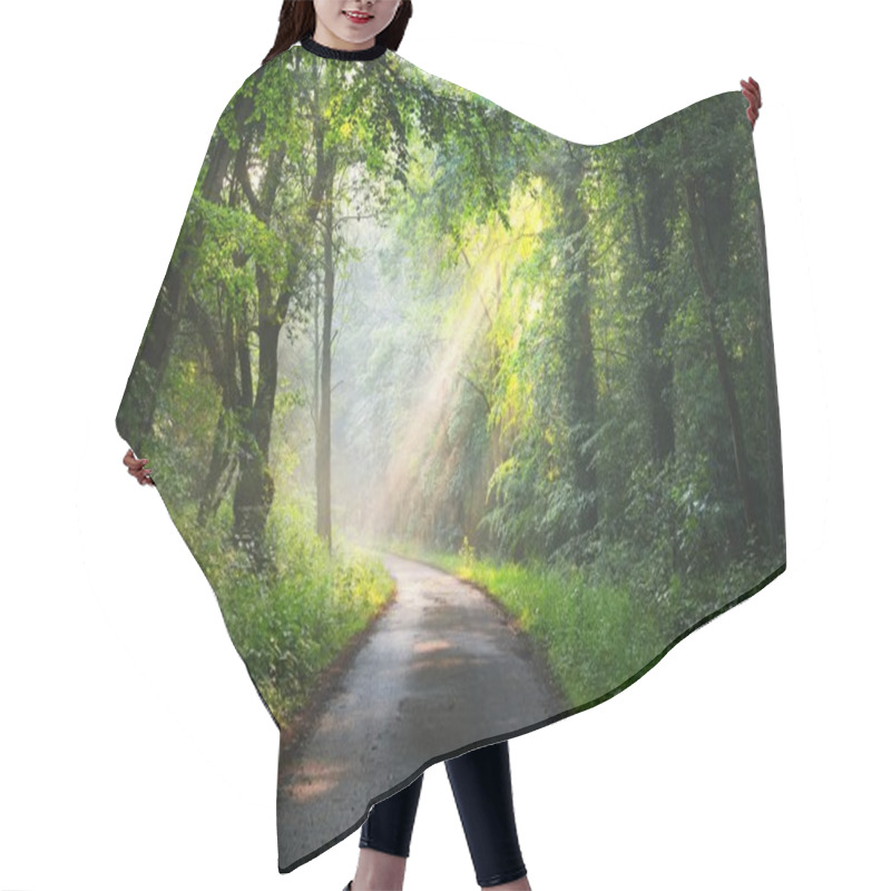 Personality  Forest Road With Sun Rays Hair Cutting Cape