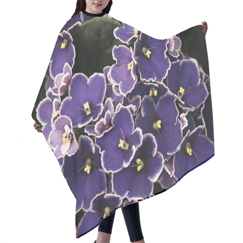 Personality  Saintpaulia - Blue African Violet Hair Cutting Cape