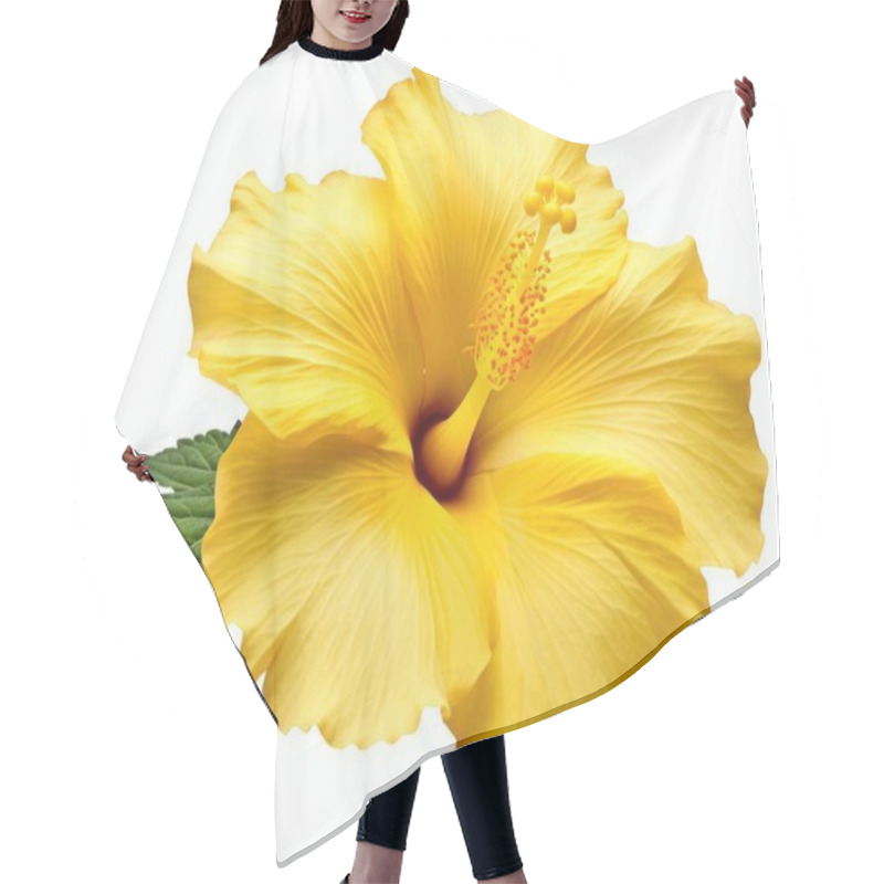 Personality  A Vibrant Yellow Hibiscus Flower With Delicate Petals And A Lush Green Leaf. Hair Cutting Cape