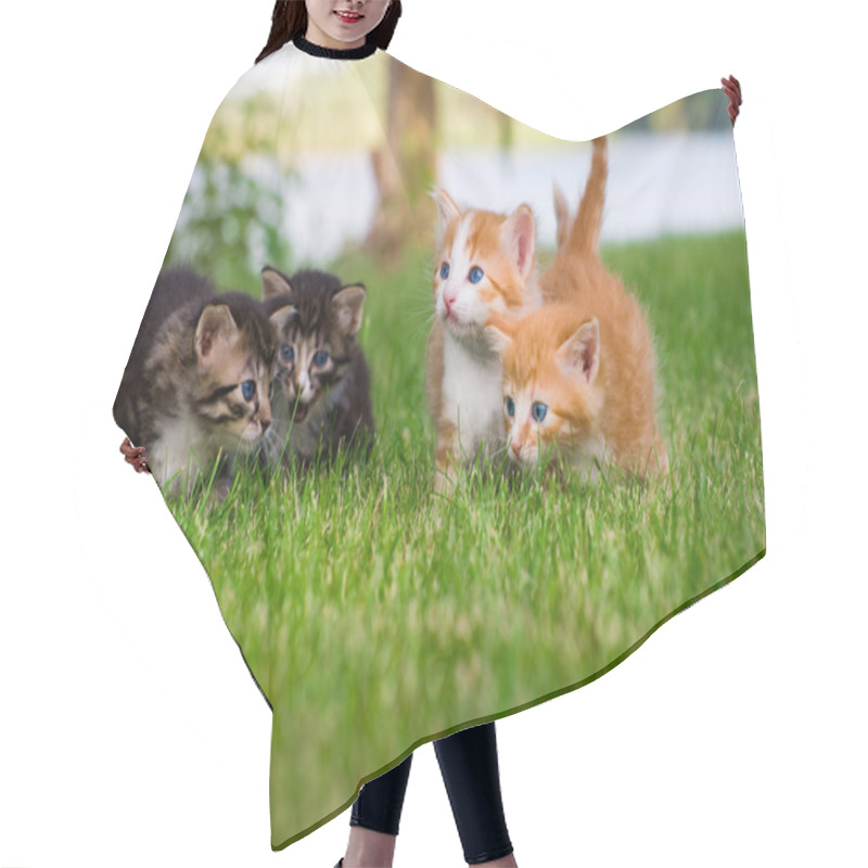 Personality  Four Little Kittens In Garden Hair Cutting Cape