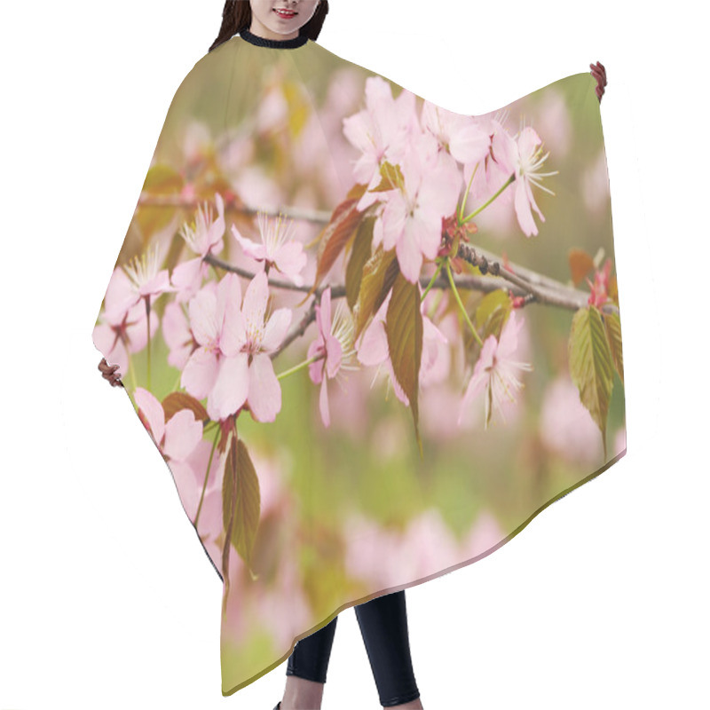 Personality  Spring Sakura Hair Cutting Cape