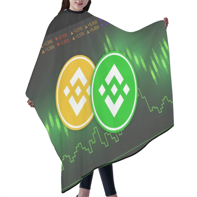 Personality  Binance-bnb Virtual Currency Image In The Digital Background. 3d Illustrations. Hair Cutting Cape